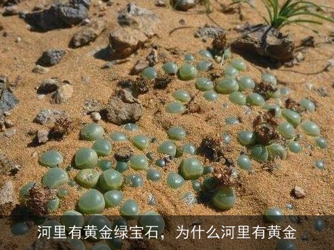 河里有黄金绿宝石，为什么河里有黄金