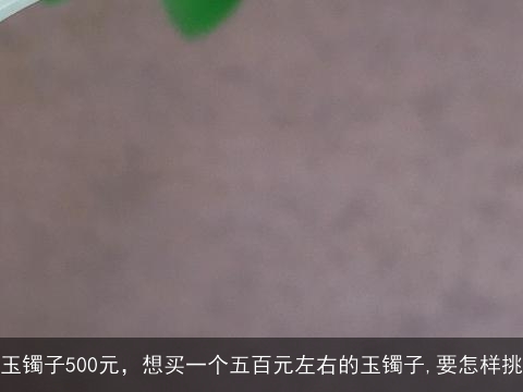 玉镯子500元，想买一个五百元左右的玉镯子,要怎样挑