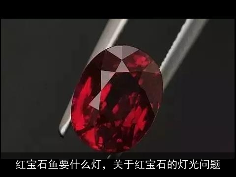 红宝石鱼要什么灯，关于红宝石的灯光问题