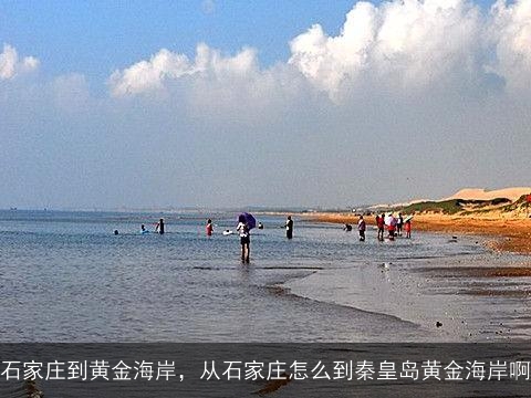 石家庄到黄金海岸，从石家庄怎么到秦皇岛黄金海岸啊