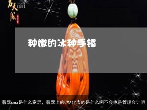 翡翠cma是什么意思，翡翠上的CMA代表的是什么啊不会也是管理会计吧