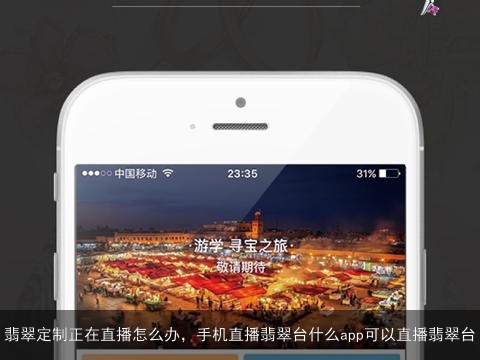翡翠定制正在直播怎么办，手机直播翡翠台什么app可以直播翡翠台
