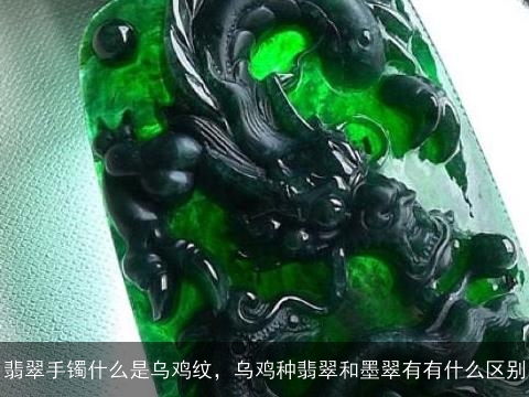 翡翠手镯什么是乌鸡纹，乌鸡种翡翠和墨翠有有什么区别