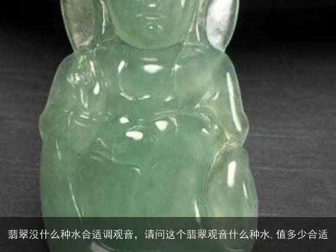 翡翠没什么种水合适调观音，请问这个翡翠观音什么种水,值多少合适