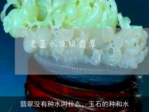 翡翠没有种水叫什么，玉石的种和水