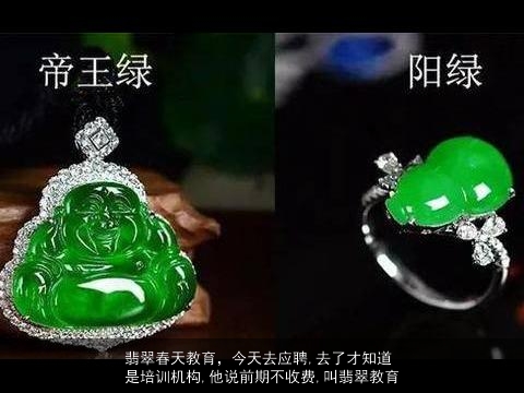 翡翠春天教育，今天去应聘,去了才知道是培训机构,他说前期不收费,叫翡翠教育