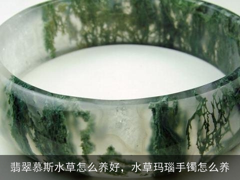 翡翠慕斯水草怎么养好，水草玛瑙手镯怎么养