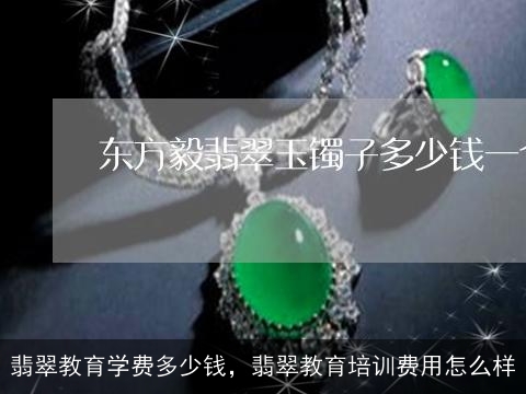 翡翠教育学费多少钱，翡翠教育培训费用怎么样