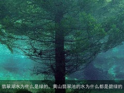 翡翠湖水为什么是绿的，黄山翡翠池的水为什么都是碧绿的