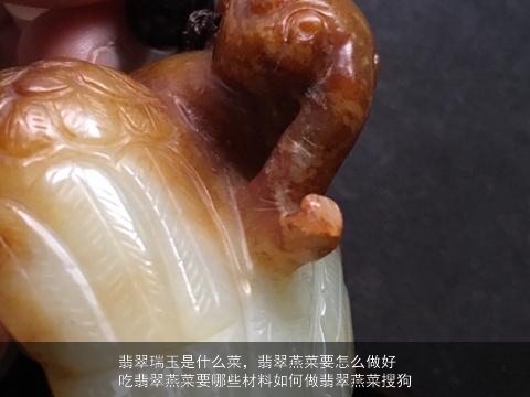 翡翠瑞玉是什么菜，翡翠燕菜要怎么做好吃翡翠燕菜要哪些材料如何做翡翠燕菜搜狗