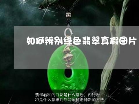 翡翠看种的口诀是什么意思，内行看种是什么意思判断翡翠种老种新的方法