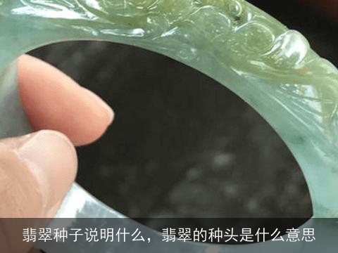 翡翠种子说明什么，翡翠的种头是什么意思