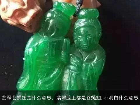 翡翠苍蝇翅是什么意思，翡翠脸上都是苍蝇翅,不明白什么意思