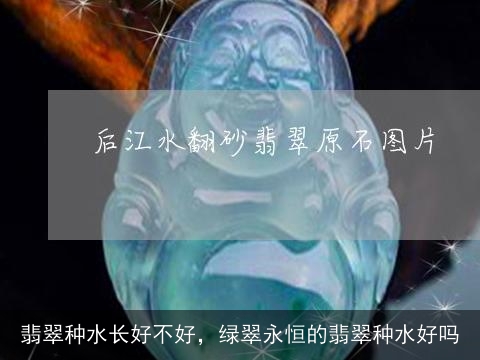 翡翠种水长好不好，绿翠永恒的翡翠种水好吗