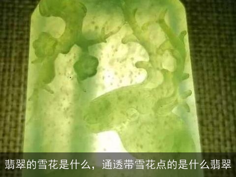 翡翠的雪花是什么，通透带雪花点的是什么翡翠