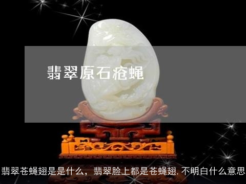 翡翠苍蝇翅是是什么，翡翠脸上都是苍蝇翅,不明白什么意思