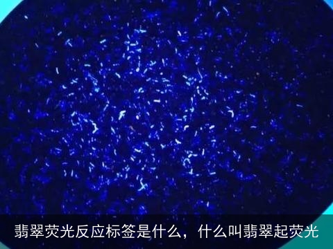 翡翠荧光反应标签是什么，什么叫翡翠起荧光