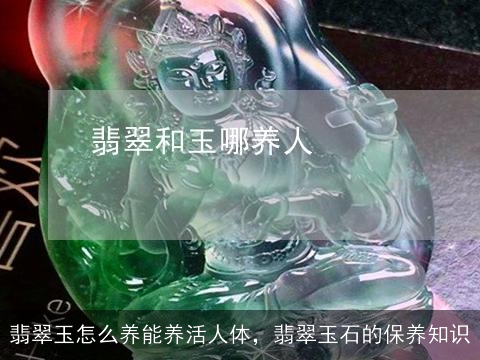 翡翠玉怎么养能养活人体，翡翠玉石的保养知识