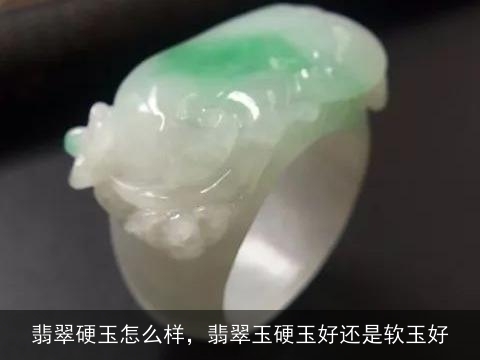 翡翠硬玉怎么样，翡翠玉硬玉好还是软玉好