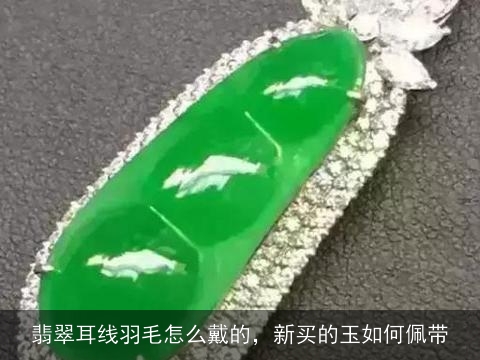 翡翠耳线羽毛怎么戴的，新买的玉如何佩带