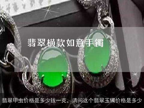 翡翠甲虫价格是多少钱一克，请问这个翡翠玉镯价格是多少