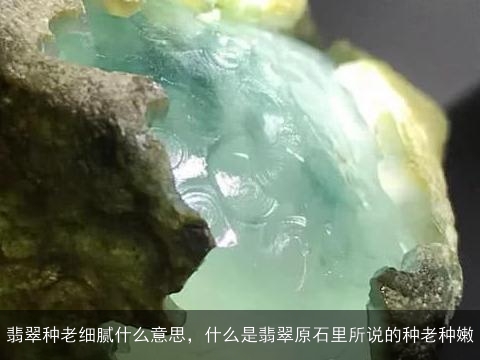 翡翠种老细腻什么意思，什么是翡翠原石里所说的种老种嫩