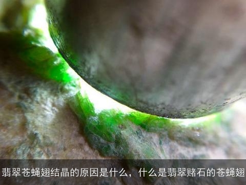 翡翠苍蝇翅结晶的原因是什么，什么是翡翠赌石的苍蝇翅