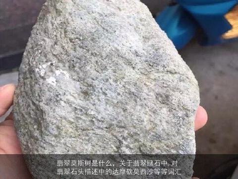 翡翠莫斯树是什么，关于翡翠赌石中,对翡翠石头描述中的达摩砍莫西沙等等词汇