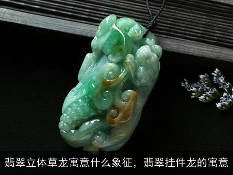 翡翠立体草龙寓意什么象征，翡翠挂件龙的寓意