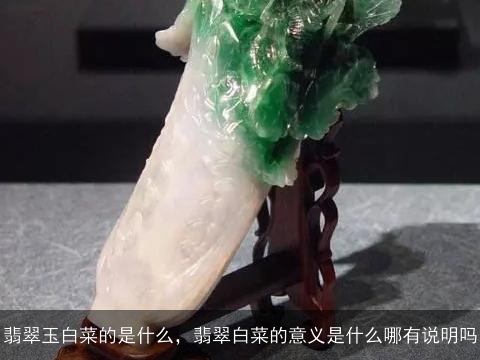 翡翠玉白菜的是什么，翡翠白菜的意义是什么哪有说明吗