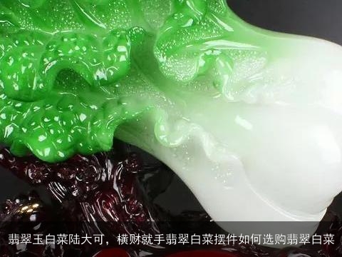 翡翠玉白菜陆大可，横财就手翡翠白菜摆件如何选购翡翠白菜