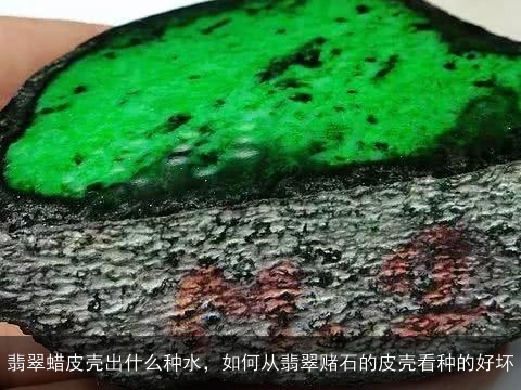 翡翠蜡皮壳出什么种水，如何从翡翠赌石的皮壳看种的好坏