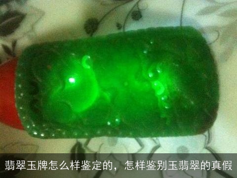 翡翠玉牌怎么样鉴定的，怎样鉴别玉翡翠的真假