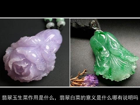 翡翠玉生菜作用是什么，翡翠白菜的意义是什么哪有说明吗