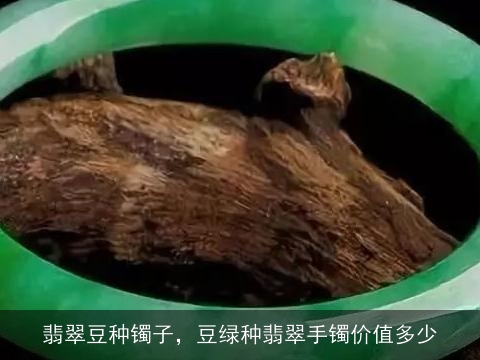 翡翠豆种镯子，豆绿种翡翠手镯价值多少