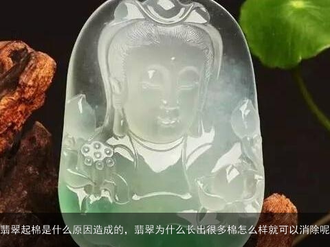 翡翠起棉是什么原因造成的，翡翠为什么长出很多棉怎么样就可以消除呢