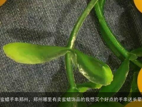 蜜蜡手串郑州，郑州哪里有卖蜜蜡饰品的我想买个好点的手串送长辈