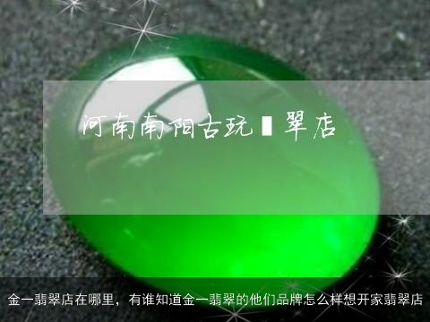 金一翡翠店在哪里，有谁知道金一翡翠的他们品牌怎么样想开家翡翠店