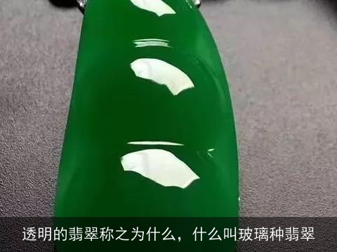 透明的翡翠称之为什么，什么叫玻璃种翡翠