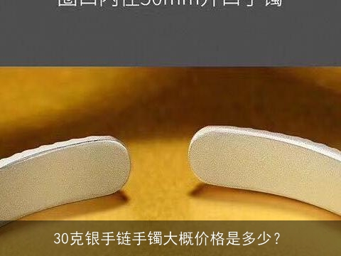 30克银手链手镯大概价格是多少？