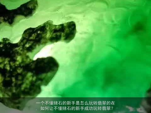 一个不懂赌石的新手是怎么玩转翡翠的在, 如何让不懂赌石的新手成功玩转翡翠？