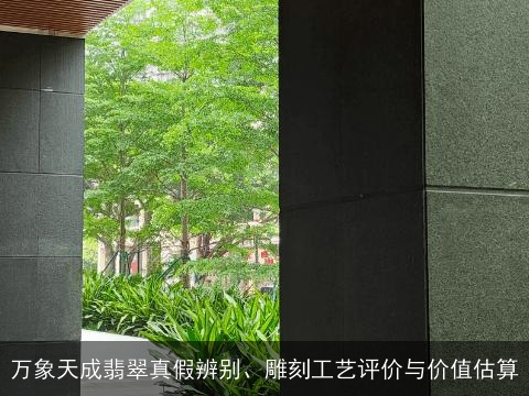 万象天成翡翠真假辨别、雕刻工艺评价与价值估算