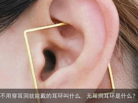 不用穿耳洞就能戴的耳环叫什么, 无耳洞耳环是什么？