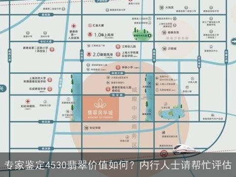 专家鉴定4530翡翠价值如何？内行人士请帮忙评估