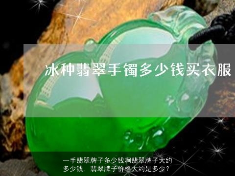 一手翡翠牌子多少钱啊翡翠牌子大约多少钱, 翡翠牌子价格大约是多少？