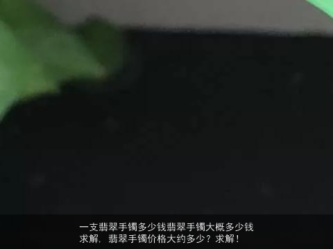 一支翡翠手镯多少钱翡翠手镯大概多少钱求解, 翡翠手镯价格大约多少？求解！